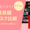 女性向けAVが見放題！『FANZA TV Plus』と『FANZA TV』の違いを徹底比較｜女性に最適
